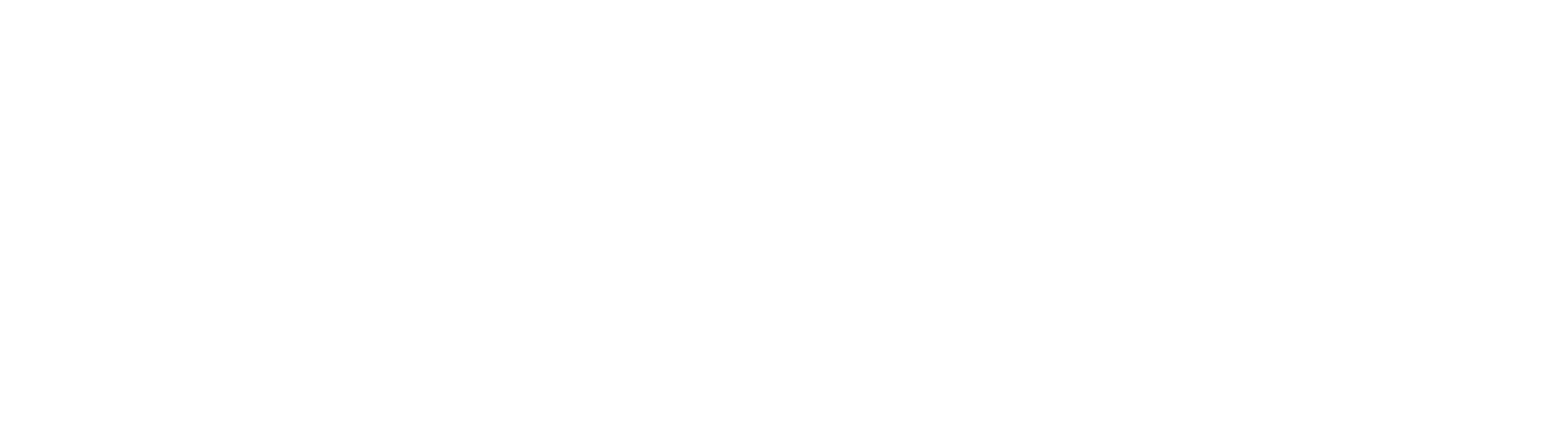 OPTICHANGE_Logo_3-neg